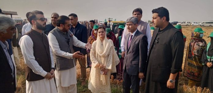 Modern agricultural machinery helps reduce smog, boosts yields in Punjab: Marriyum