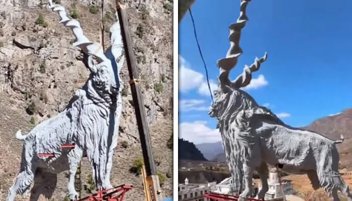 World’s Largest Markhor Statue Installed in Battakundi, Kaghan Valley