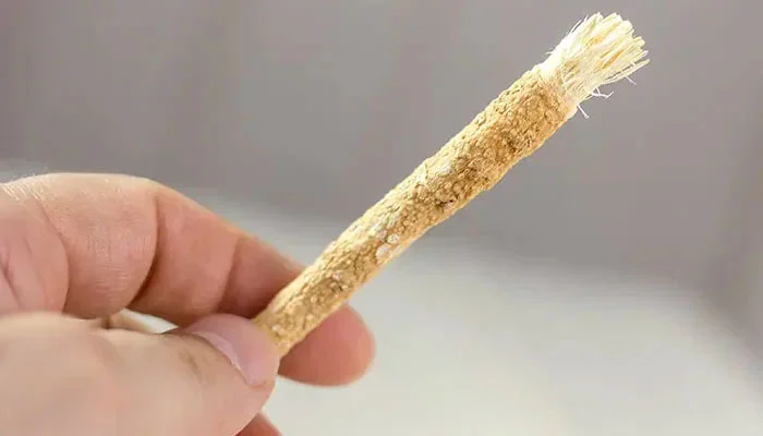 Using Miswak and Toothpaste While Fasting: What Does Islamic Law Say?