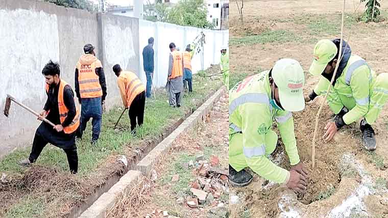 Tree Plantation Drive Launched in Gujrat to Green GT Road