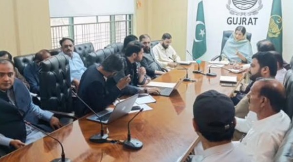 DC Gujrat Reviews Model Village Project, Orders Faster Progress
