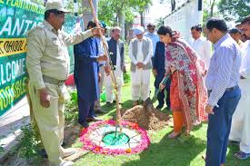Gujrat accelerates tree plantation drive, thousands of saplings planted in Dhool Kalan
