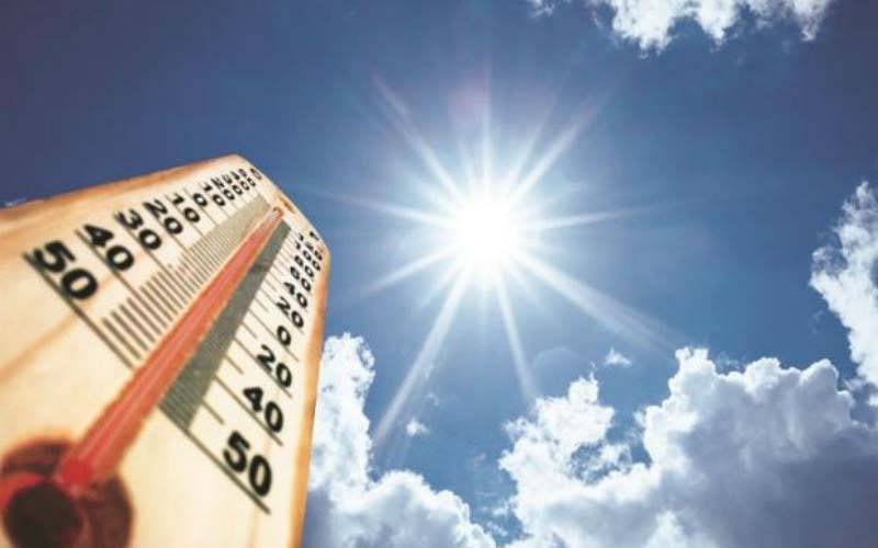 Panic Buying of Fans Reported in France as Heatwave Intensifies