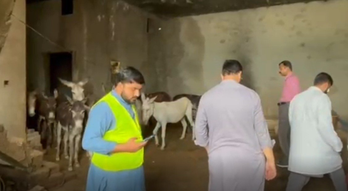 Kharian: Heavy Rain Causes Roof Collapse, 16 Donkeys Trapped Under Debris
